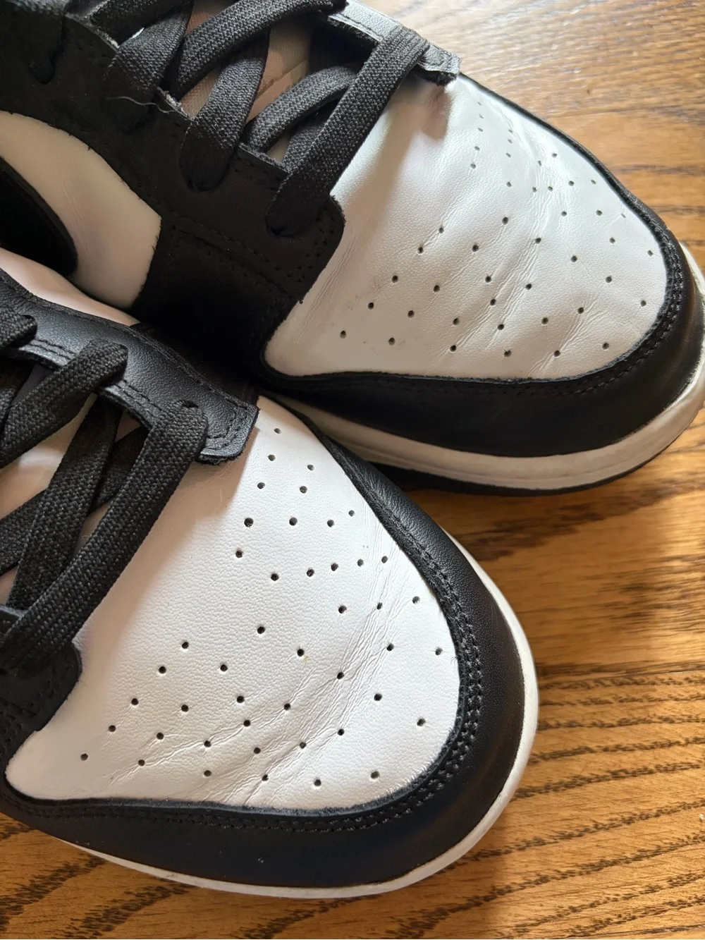 Nike dunk sneakers